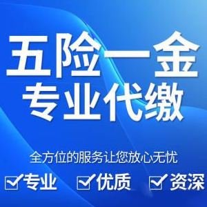 河南五險一金代繳-河南社保代理企業(yè)